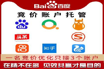 SEM托管服务案例：实现精准营销与客户转化